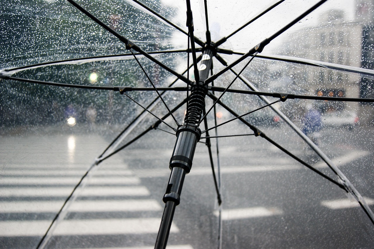 雨の日の傘