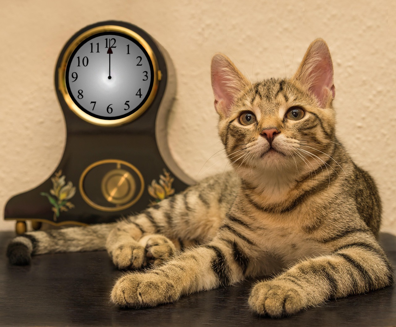 置き時計の横でくつろぐ猫